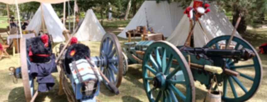 La quema de Almazán 2025